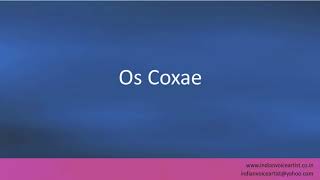 Pronunciation of the words quotOs Coxaequot [upl. by Dugaid]