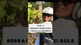 Reaksi Bule Hidup di Indonesia Diajarin Nyeruput Kopi Ala Bapak2‼️ reaksibule shorts viralvideo [upl. by Yreneh69]