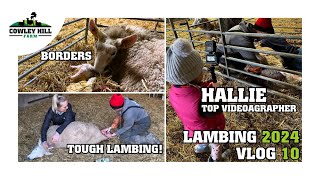 SO MANY LAMBS  LAMBING 2024 VLOG 10 [upl. by Nnylrefinnej]