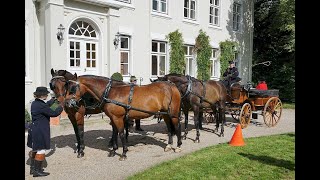 Historische Kutschen im Naturpark Westensee [upl. by Karia]