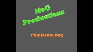 Diablo 2 Resurrected Pindleskin Bug [upl. by Ellekim489]