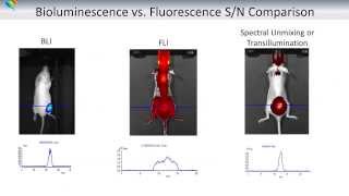 Basics Of Optical Imaging In Vivo  Part I Tissue Optics [upl. by Anirbus470]