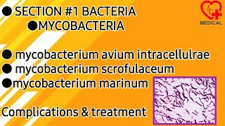 Mycobacterium avium scrofulaceum marinum  Mycobacteria  Microbiology [upl. by Howland69]