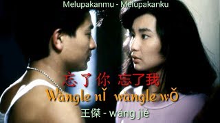 忘了你 忘了我 Wang Le Ni Wang Le Wo王傑  Wang Jie Lyrics [upl. by Ellehcear]