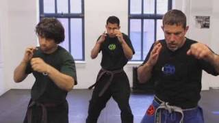 How to Do a Straight Punch Combination  Krav Maga [upl. by Idelson11]