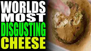 This is the Worlds Most DISGUSTING Cheese [upl. by Yellek15]