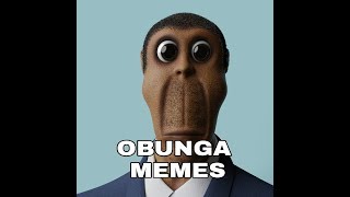 OBUNGA MEMES COMPILATION [upl. by Vick]