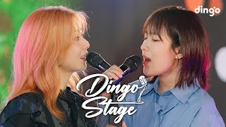 고막 녹이는 가을 음색 여신 치즈 amp 스텔라장의 귀 호강 스테이지ㅣdingo stage X Dolby [upl. by Ardek807]