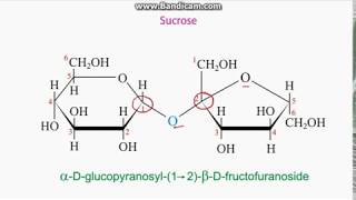 Identifying anomeric carbons in sugars [upl. by Elauqsap]