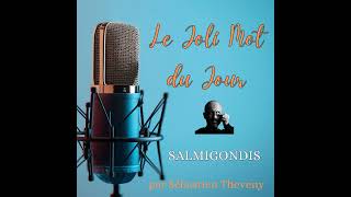 Le joli Mot du Jour  Salmigondis [upl. by Chapman112]