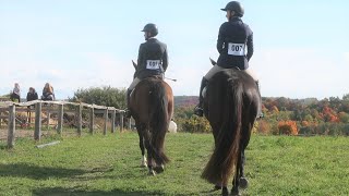 Showing Against my Trainer A horse Show Vlog Day 274 100320 [upl. by Nilac]