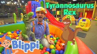 Blippi Visits an Indoor Playground  Learning Videos For Kids  Education Show For Toddlers [upl. by Ruperta]