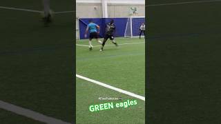 GOAL SOCCER INDOOR [upl. by Criswell]