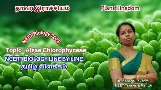 நீட் உயிரியல் தமிழில் விளக்கம் 2025  Topic Algae Chlorophyceae [upl. by Anera666]