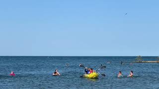 Family Kayaking at Hamilton Beach [upl. by Haissem152]