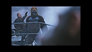 Migration scene  War for the Planet of the Apes 2017 [upl. by Garlan]