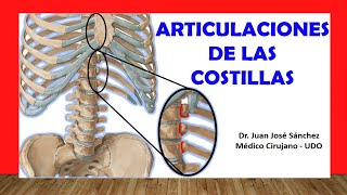 🥇 ARTICULACIONES DE LAS COSTILLAS Rápida Fácil y Sencilla [upl. by Areem836]