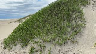 Hello from Ocracoke Island NC 61024 [upl. by Akino753]