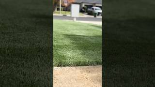 landscape artificialturf grass turf [upl. by Enitnemelc309]