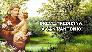 BREVE TREDICINA A SANTANTONIO [upl. by Ayotel256]