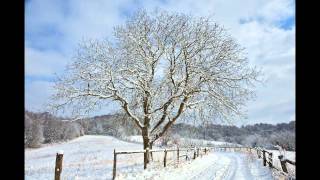 Schneeflöckchen Weißröckchen WinterWeihnachtslieder part 1 [upl. by Riki957]