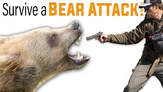 9 Bear Attacks That Give You Shivers [upl. by Briney]