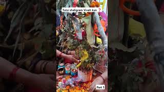 Kyon Kiya jata Hai Tulsi shaligram Vivah  Rahasya 😱 minivlog jayawithmom [upl. by Rizzi]