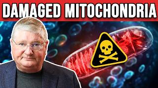 5 WARNING SIGNS Your Mitochondria Are Damaged [upl. by Ayokahs540]