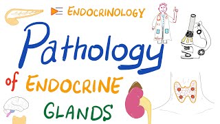 Pathology Basics of Endocrinology [upl. by Carolan]