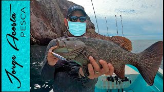 Pescando para comer en la CUARENTENA  Cabrillas pargos y meros en EL FARALLÓN de San Ignacio [upl. by Ecaj]