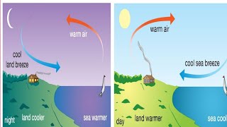 Difference between Land breeze 🌄 and Sea breeze🌅 [upl. by Borg]