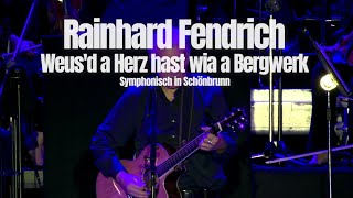 Rainhard Fendrich quotWeusd a Herz hast wia a Bergwerkquot Symphonisch in Schönbrunn [upl. by Lattimer]