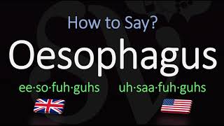 How to Pronounce Oesophagus CORRECTLY Meaning amp Pronunciation [upl. by Yeldua]