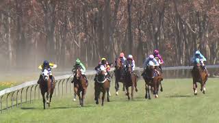 Stanthorpe 20241019 Race 2 [upl. by Ormand]