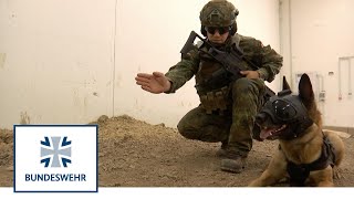 RETTE MICH – Erste Hilfe für Diensthunde  Bundeswehr [upl. by Scotney702]