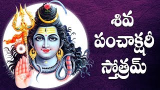 SHIVA PANCHAKSHARI STOTHAM TELUGU LYRICS AND MEANINGS [upl. by Vanderhoek]