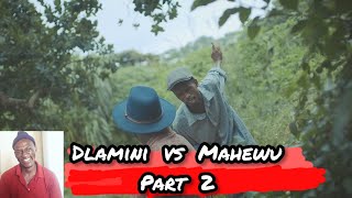 Dlamini vs Mahewu part 2 🤣 uDlamini yiStar reaction video 2024 [upl. by Leitnahs]