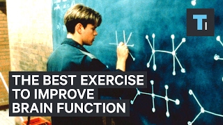 Neuroscientist explains the best exercise to improve brain function [upl. by Halsey615]