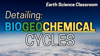 Detailing All The Biogeochemical Cycles [upl. by Laurie]