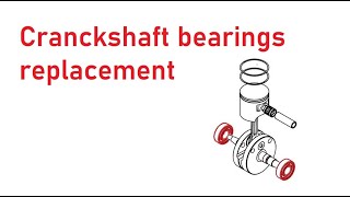 Vittorazi Moster plus Crankshaft bearings replacement Paramotor engine maintenance series [upl. by Ateuqirne776]