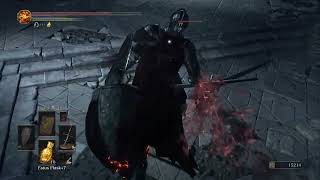 Lothric Castle Part 1  Consumed Kings Garden Untended Graves [upl. by Aisa865]