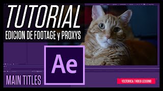 Edición de footage y creación de proxys en After Effects aftereffects tutorial [upl. by Aenej]