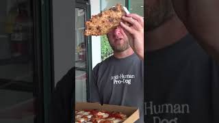 Dave Portnoy Cannot Believe This Pizza Was Only 10 [upl. by Islean]