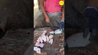 KASIMEDU LEATHER JACKET FISH CUTTING VIDEO kasimeduselvam shorts bigfishcutting youtube [upl. by Salvucci]