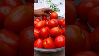 This is How to make Tomato powder pt1 [upl. by Qiratla]