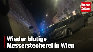 Wieder blutige Messerstecherei in Wien  kronetv NEWS [upl. by Eerrahs]