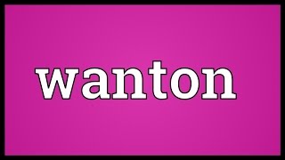 Wanton Meaning [upl. by Eiramaneet]