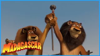 DreamWorks Madagascar  Who is Who 🦓  Madagascar Escape 2 Africa Movie [upl. by Elicia]