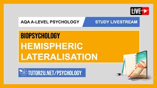 AQA ALevel Psychology  Study Livestream  Biopsychology  Hemispheric Lateralisation [upl. by Gnilrits]