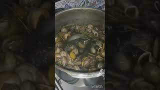 caracoles 🐌الحلزونcon yerbas aromáticas super bueno 😋👌🐌🐌🇲🇦🇪🇦⛈️⛈️⛈️⛈️⛈️ [upl. by Bautista]